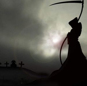 Meet your Posher, Ricky